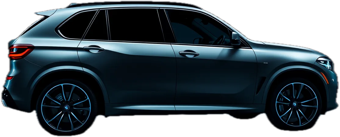 BMW X5 în atelierul BizShop